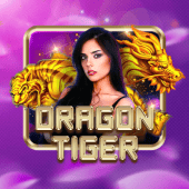 Dragon Tiger okplay apk com